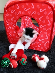 Rosewood Christmas Cat Toy Bundle Containing Wool Balls, Cat Cube and Stocking - Image 5 of 6