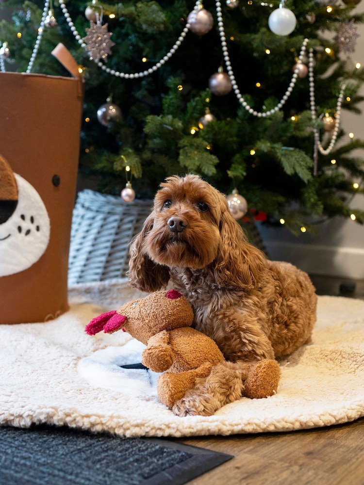 Rosewood Beige Teddy Bear Dog Blanket - Image 4 of 4