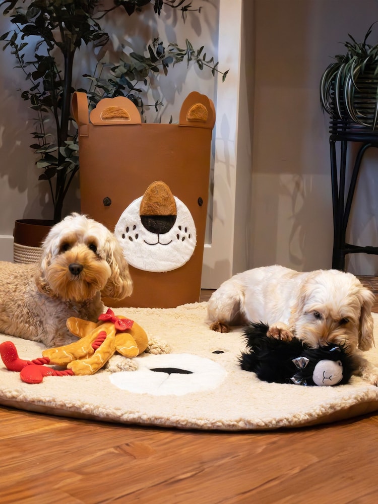 Rosewood Brown Lion Dog Toy Basket - Image 4 of 4 Rosewood Brown Lion Dog Toy Basket - Image 4 of 4