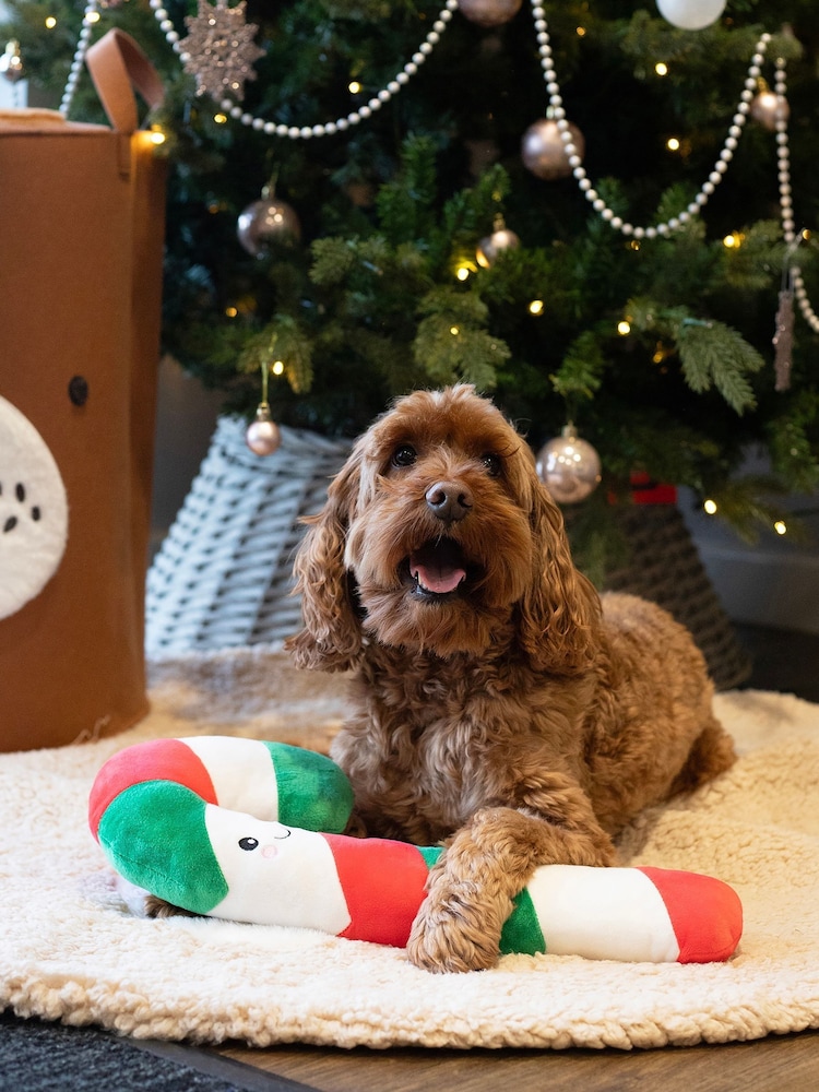Buy Rosewood Christmas Dog Toys Set of Candy Cane Gingerbread