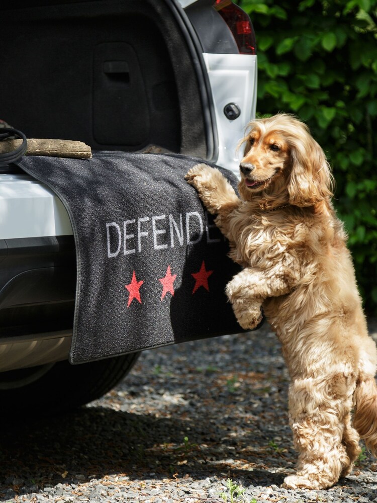 Pet Rebellion Black Car Boot And Bumper Protection Defender For Dogs Move - Image 1 of 3