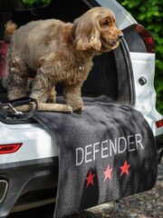 Pet Rebellion Black Car Boot And Bumper Protection Defender For Dogs Move - Image 2 of 3