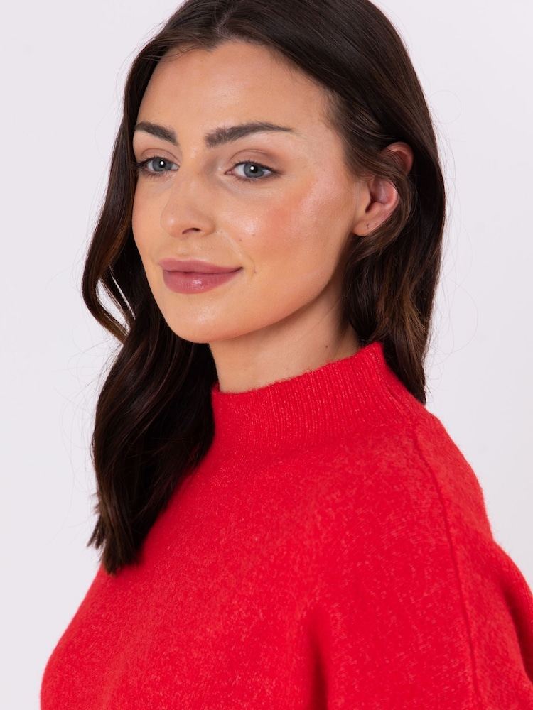 Lakeland Leather Red Sheeka High Neck Jumper - Image 2 of 6