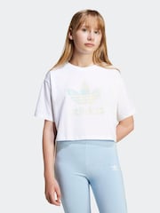 adidas originals White/Blue Trefoil Crop 100% Cotton T-Shirt - Image 1 of 6