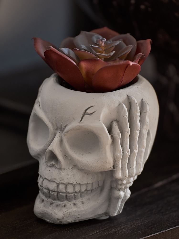 Purple Artificial Succulent In Spooky Halloween Skull - Image 2 of 4 Purple Artificial Succulent In Spooky Halloween Skull - Image 2 of 4