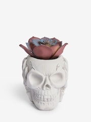 Purple Artificial Succulent In Spooky Halloween Skull - Image 3 of 4