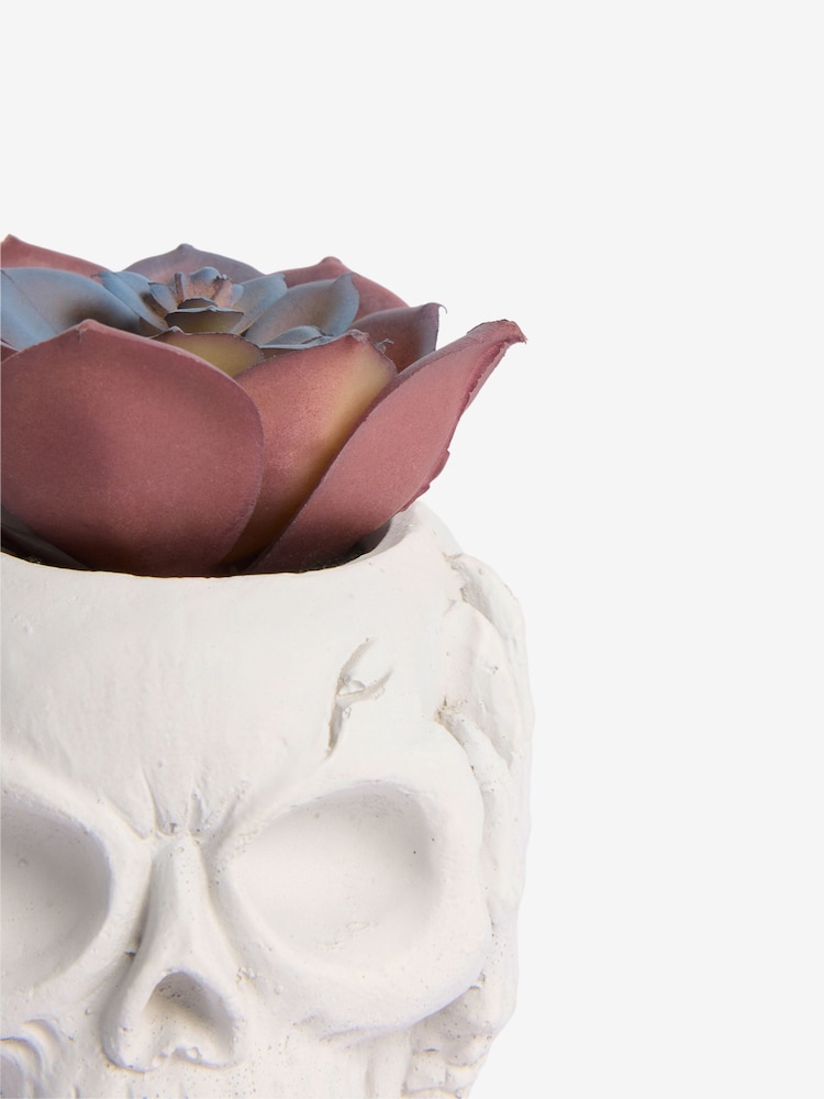 Purple Artificial Succulent In Spooky Halloween Skull - Image 4 of 4 Purple Artificial Succulent In Spooky Halloween Skull - Image 4 of 4