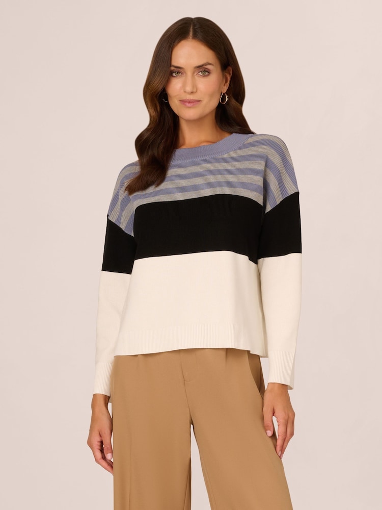 Adrianna Papell Dropped Shoulder Boat Neck Colour Blocked Long Sleeve Sweater - Image 1 of 7