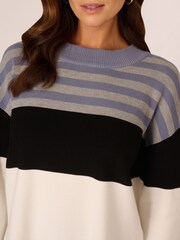 Adrianna Papell Dropped Shoulder Boat Neck Colour Blocked Long Sleeve Sweater - Image 4 of 7