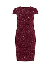 Yours Curve Red London Sequin Velvet Shift Dress - Image 5 of 5
