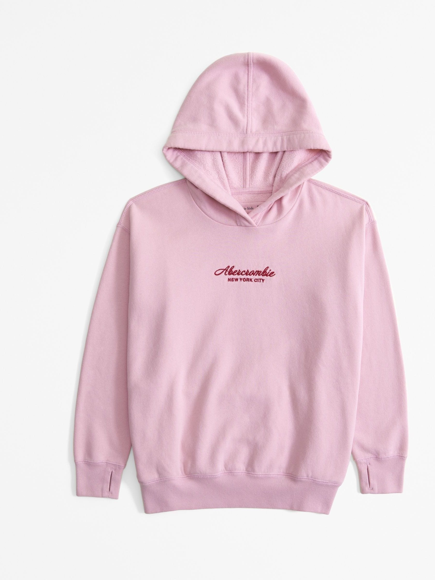 Buy Abercrombie & Fitch Pink Logo Hoodie from Next Canada