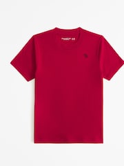 Abercrombie & Fitch Red Short Sleeve Icon Logo Crew Neck 100% Cotton T-Shirt - Image 1 of 1