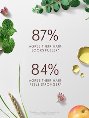 Moroccanoil Scalp Discovery Kit - Image 2 of 3