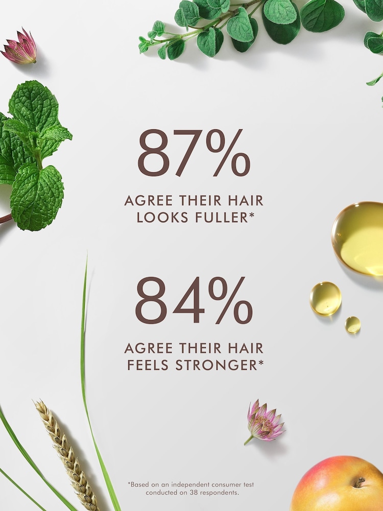 Moroccanoil Scalp Discovery Kit - Image 2 of 3