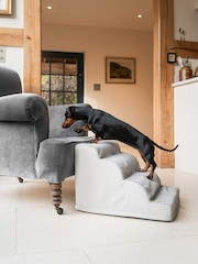 Lords and Labradors Cloud Pet Steps - Bild 1 von 3