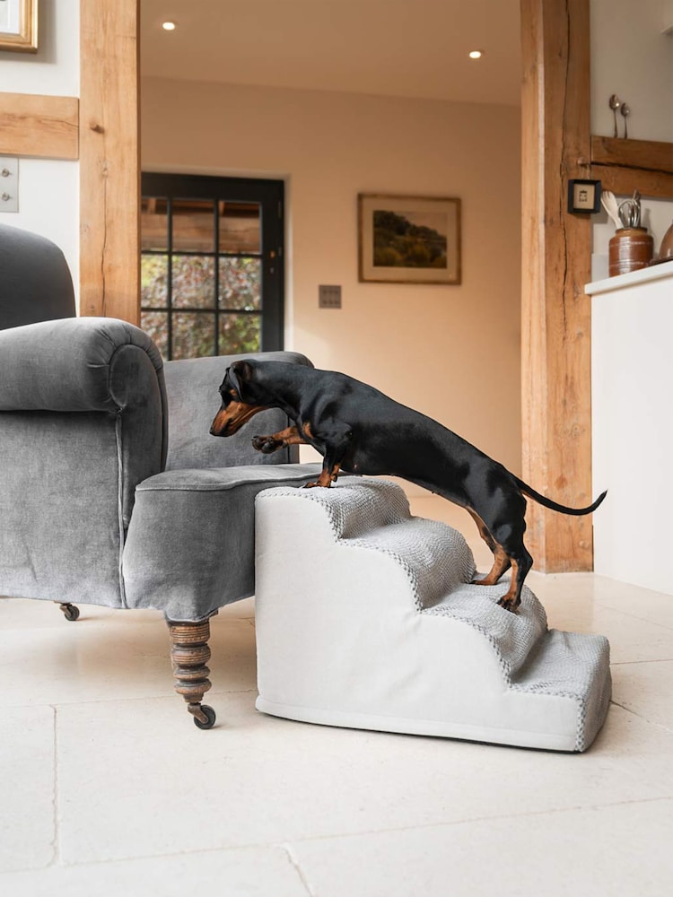 Lords and Labradors Cloud Pet Steps - Bild 1 von 3