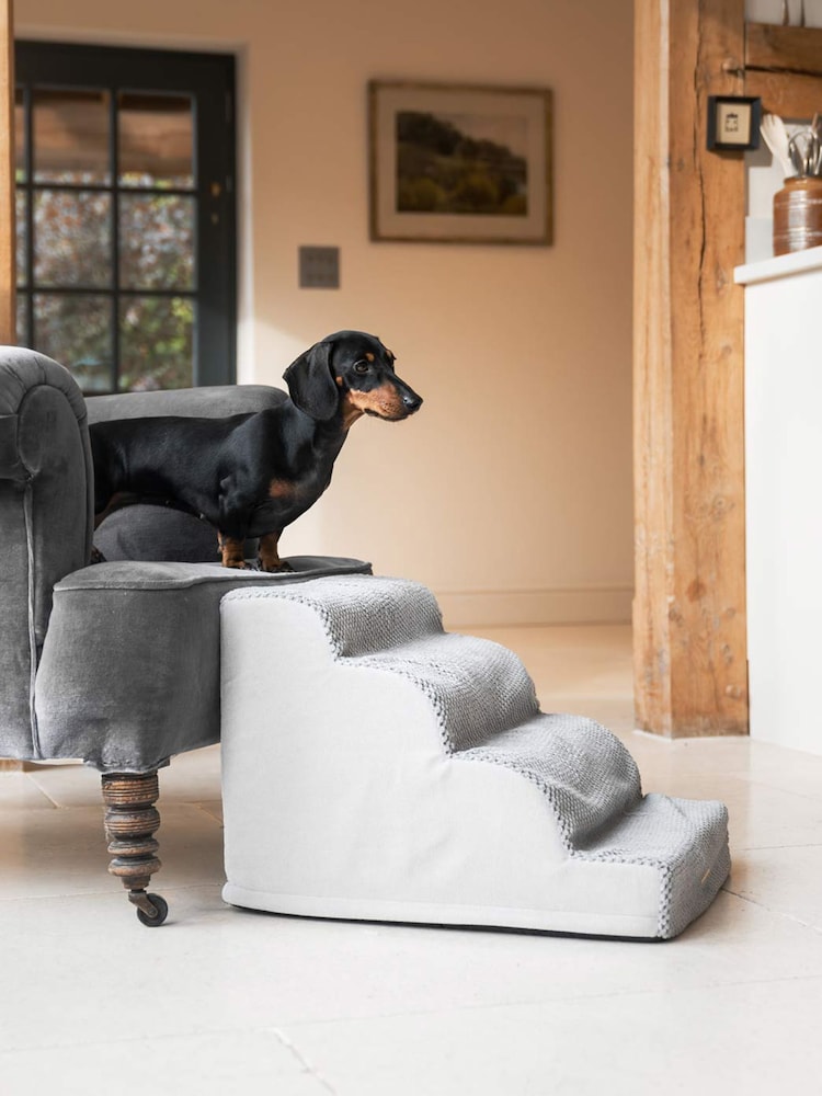 Lords and Labradors Cloud Pet Steps - Bild 2 von 3