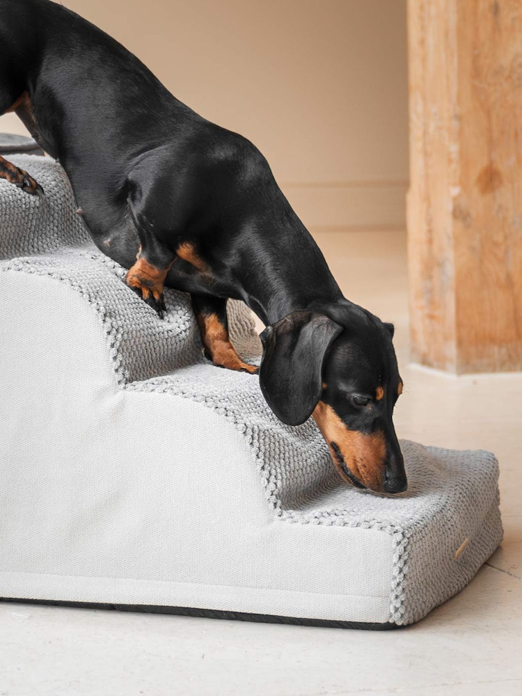 Lords and Labradors Cloud Pet Steps - Bild 3 von 3
