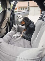 Lords and Labradors Truffle Double Easy Traveller Pet Car Seat - Image 2 of 3