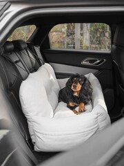 Lords and Labradors Slate Double Easy Traveller Pet Car Seat - Image 1 of 3