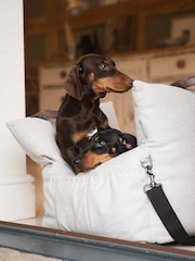 Lords and Labradors Easy Traveller Dog Car Seat - Bild 1 von 3