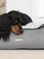 Lords and Labradors Grey Dig & Dive Dog Bed - Image 3 of 3