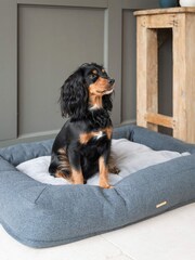 Lords and Labradors Anthracite Comfort Cube Dog Bed - Image 1 of 3