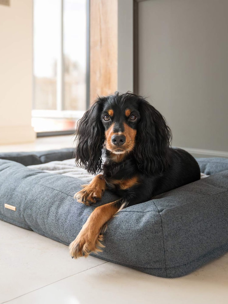 Lords and Labradors Anthracite Comfort Cube Dog Bed - Image 3 of 3
