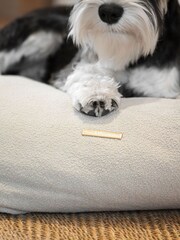 Lords and Labradors Alabaster Snooze Pouff Dog Bed - Image 3 of 3