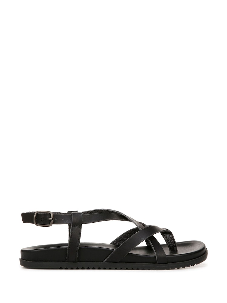 أسود - Blowfish Malibu Camden Strappy Sandals - صورة 1 من 6