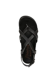 أسود - Blowfish Malibu Camden Strappy Sandals - صورة 5 من 6