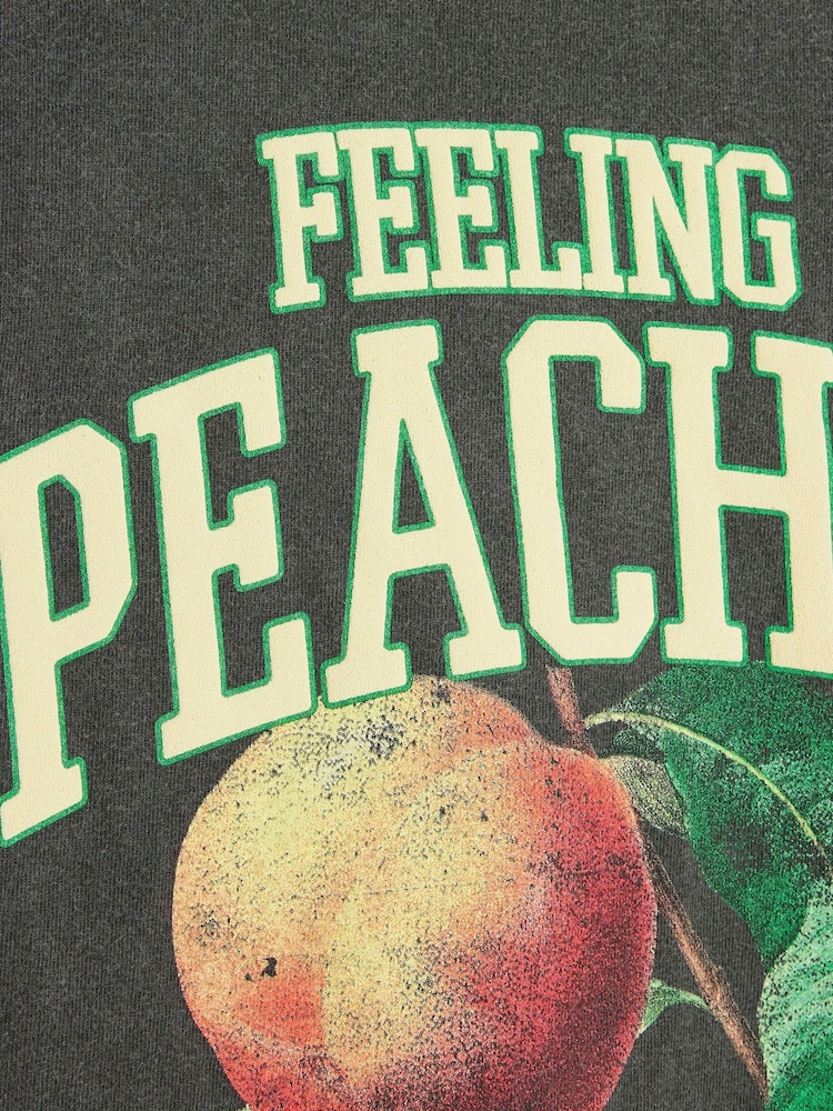 River Island Grey Girls Feeling Peachy 100% Cotton T-Shirt - Image 3 of 3 River Island Grey Girls Feeling Peachy 100% Cotton T-Shirt - Image 3 of 3