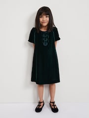 Phase Eight Green Beatrice Velvet Swing Dress - Image 1 of 7