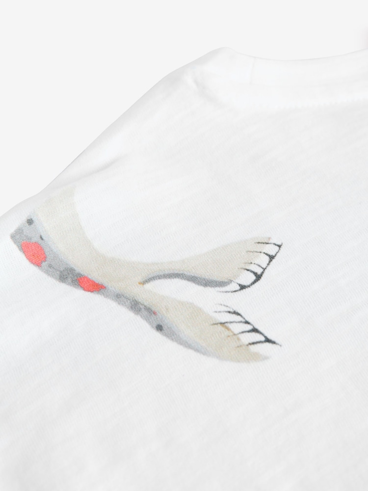 White Seal - Cath Kidston 100% Cotton T-Shirt - Imagen 12 de 12