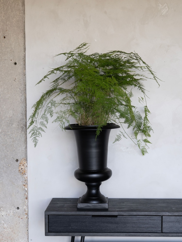 Libra Interiors Raw Black Buchan Aluminium Urn - Image 1 of 5