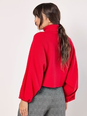 Apricot Red Roll Neck Batwing Jumper - Image 4 of 4