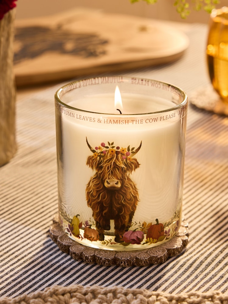 Orange Hamish the Highland Cow Pumpkin Ginger Chai Pillar Candle - Image 1 of 4