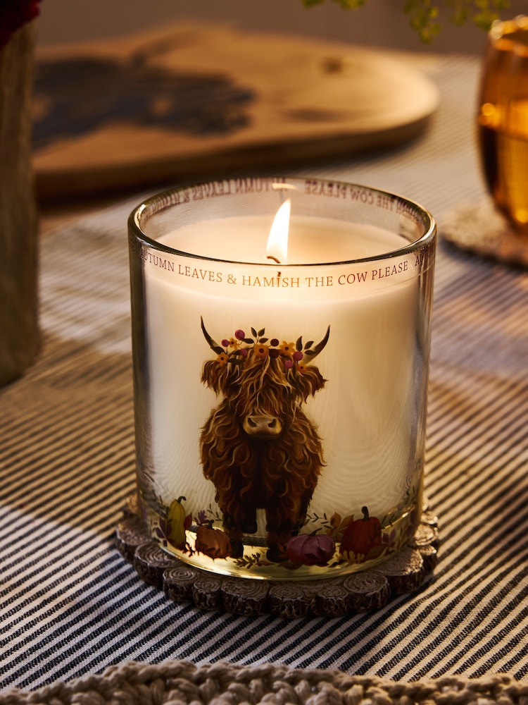 Orange Hamish the Highland Cow Pumpkin Ginger Chai Pillar Candle - Image 2 of 4