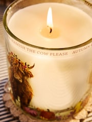 Orange Hamish the Highland Cow Pumpkin Ginger Chai Pillar Candle - Image 3 of 4