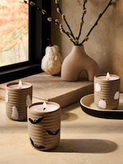 Natural Ghost Pumpkin Spice Set of 3 Candle - Image 1 of 3