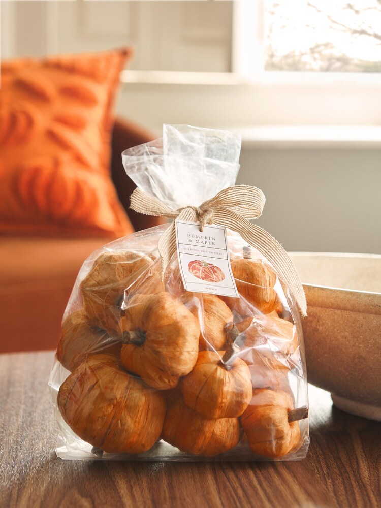 Pumpkin Ginger Chai Pot Pourri - Image 1 of 1