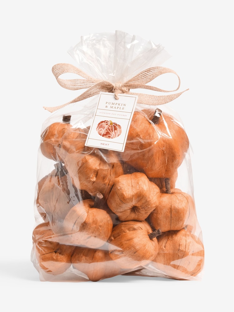 Autumnal Pumpkin Ginger Chai Pot Pourri - Image 4 of 4