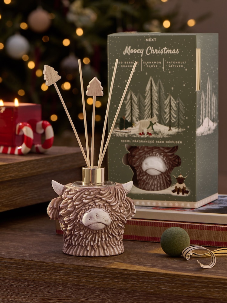 Christmas Hamish Festive Spice Diffuser 100ml Spice Diffuser - Image 1 of 4