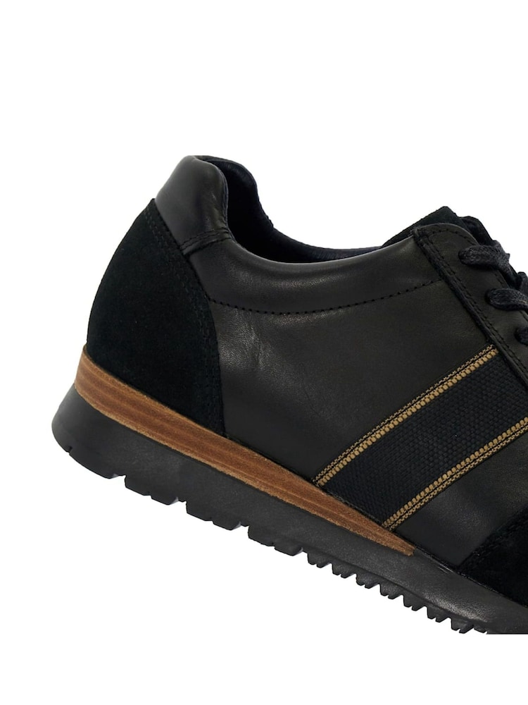 Sininen - Leveä lesti - Dune London Treck Raita Webbing Käytävämatto Trainers - Kuva 6 / 6