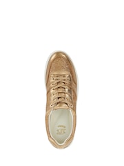 rjava - Dune London Evangelyn Flatform Lace-Up Trainers - Slika 5 iz 6
