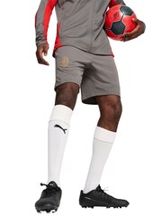 Puma Grey AC Milan Training Shorts - Image 1 of 5