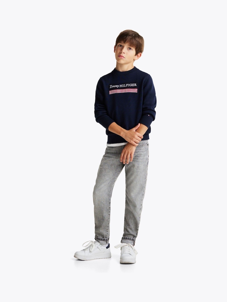 Tommy Hilfiger Blue Regular Fit 1985 Monotype 100% Cotton Jumper - Image 2 of 5