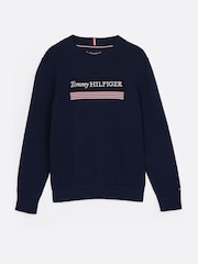 Tommy Hilfiger Blue Regular Fit 1985 Monotype 100% Cotton Jumper - Image 5 of 5
