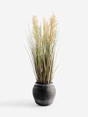 Green Artificial Pampass Grass In Textured Black Pot - Image 1 of 2