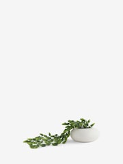 Green Arrangement Artificial Hops In White Ceramic Pot - Image 3 of 4